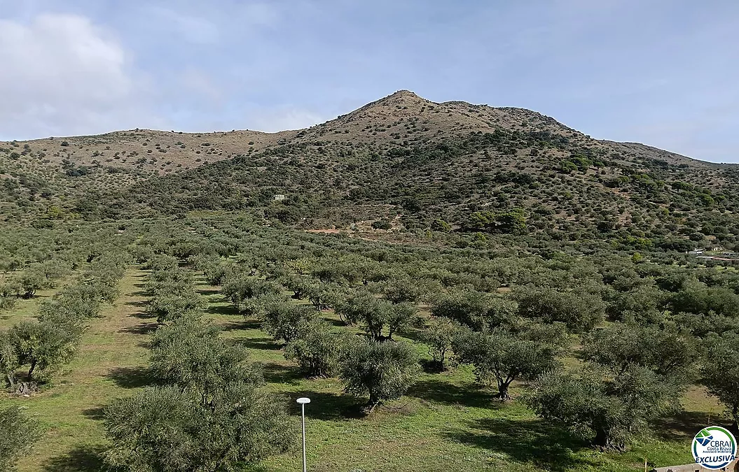 BONIC PIS AMB VISTA MAR EN MAS OLIVA ROSES
